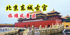 淫妇操屄图中国北京-东城古宫旅游风景区